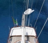 Bodrum Shipyard Silver  Star 